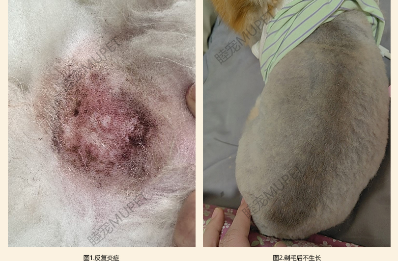 角质细胞22 拷贝.jpg