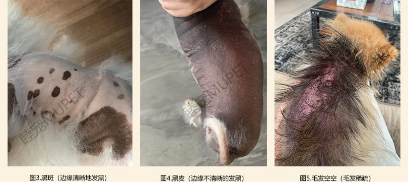 图3.4.5.jpg