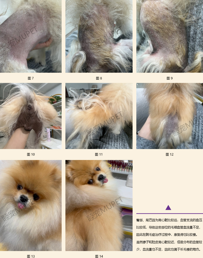 北京1.jpg