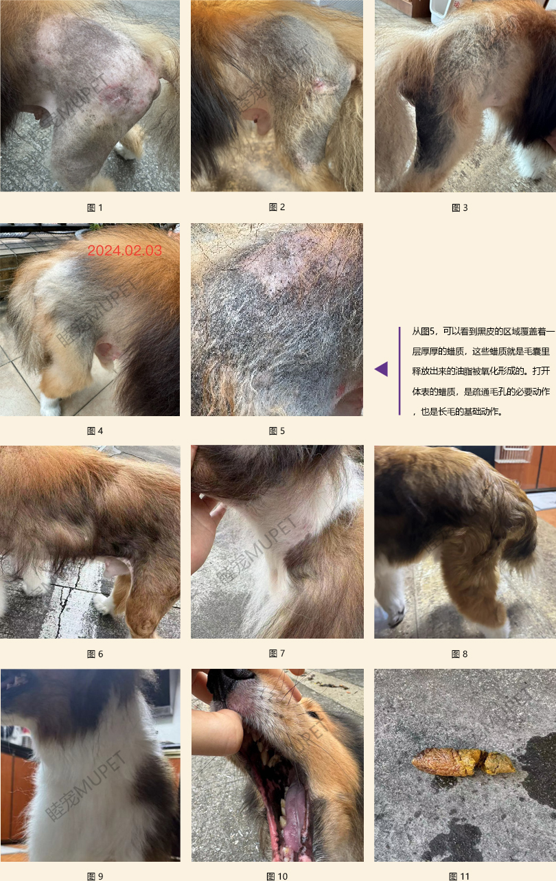 喜乐蒂_1-11.jpg