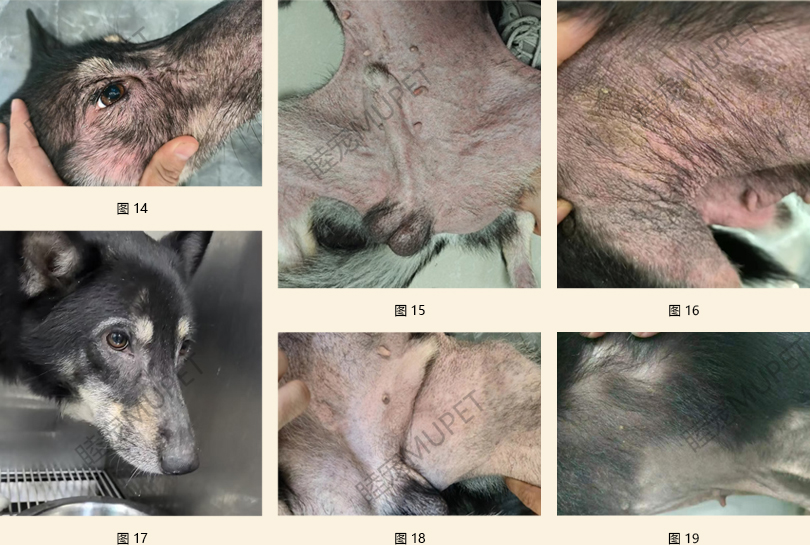 自然疗法在皮肤红的实践_4-9.jpg